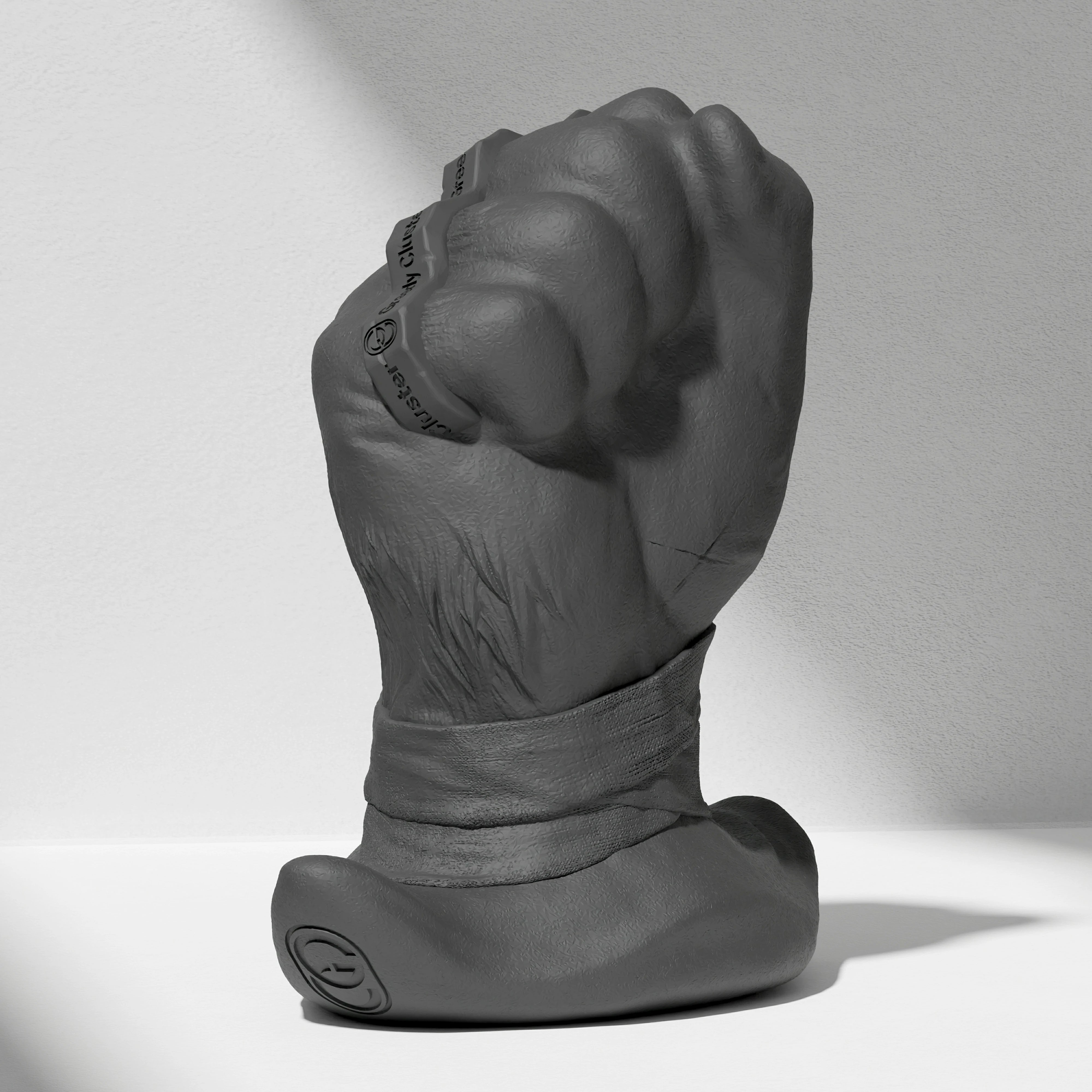 ROGUE PUNCH STOPPER