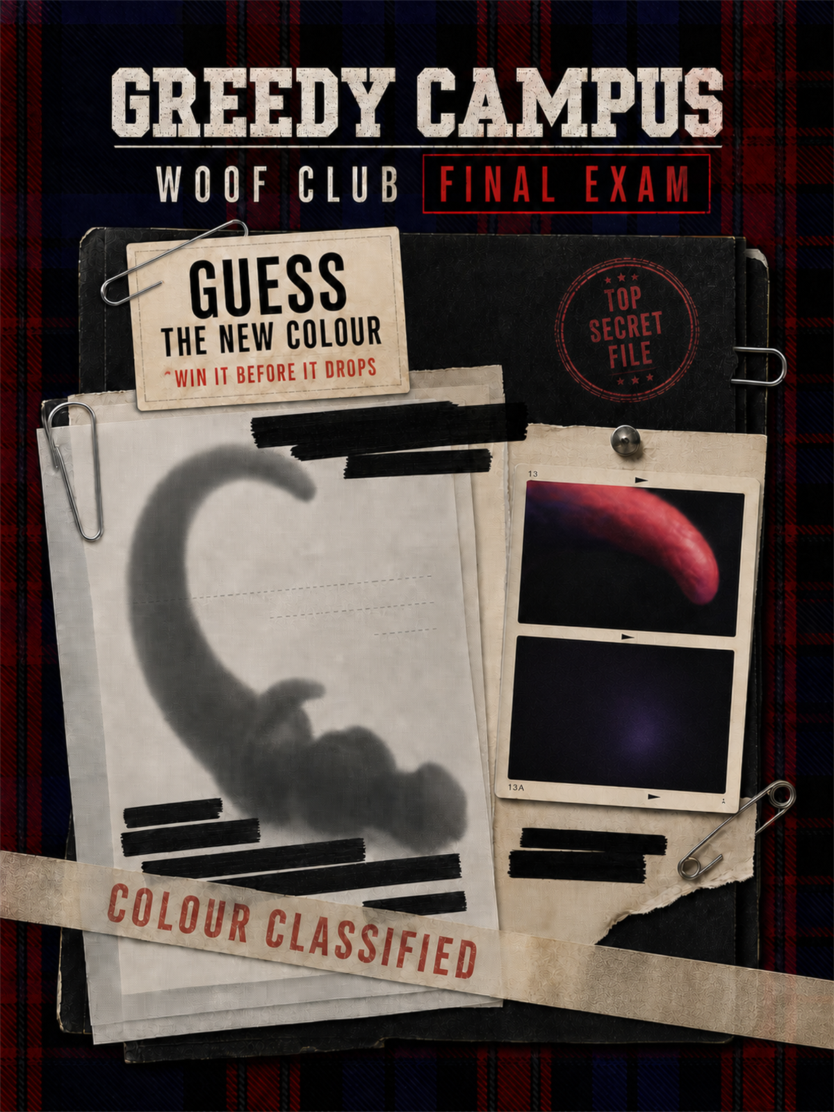 WOOF CLUB Final Exam, guess the new WOOF colour